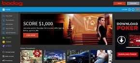 bodog poker legal